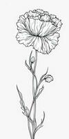 Simple Doodle Carnation Flower Art on White Background photo