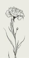 Simple Doodle Carnation Flower Art on White Background photo