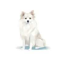 Minimalist American Eskimo Dog Watercolor Painting in Soft Pastel Colors photo