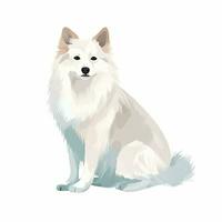 Minimalist American Eskimo Dog Watercolor Painting in Soft Pastel Colors photo