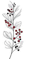 Minimalist Holly Berry Flower Art in Black and White Color Scheme photo