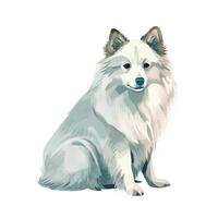Minimalist American Eskimo Dog Watercolor Painting in Soft Pastel Colors photo