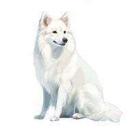 Minimalist American Eskimo Dog Watercolor Painting in Soft Pastel Colors photo