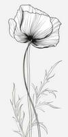 Minimalist Poppy Flower Doodle Art on Black and White Background photo