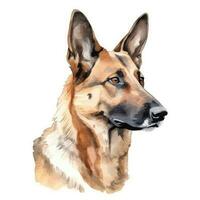 Minimalist German Shepherd Dog Watercolor Painting in Soft Pastel Colors photo