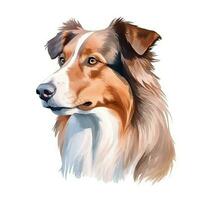 Minimalist Watercolor Painting of an American Shepherd photo