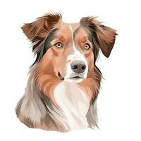 Minimalist Watercolor Painting of an American Shepherd photo
