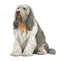 Petit Basset Griffon Vendeen Watercolor Painting in Soft Pastel Colors for Invitations and Posters photo