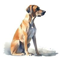 Minimalist Rhodesian Ridgeback Watercolor Painting in Soft Pastel Colors photo