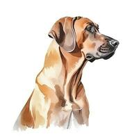 Minimalist Rhodesian Ridgeback Watercolor Painting in Soft Pastel Colors photo