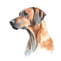Minimalist Rhodesian Ridgeback Watercolor Painting in Soft Pastel Colors photo