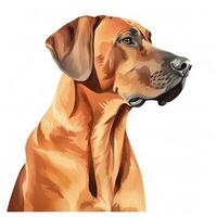 Minimalist Rhodesian Ridgeback Watercolor Painting in Soft Pastel Colors photo