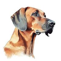 Minimalist Rhodesian Ridgeback Watercolor Painting in Soft Pastel Colors photo