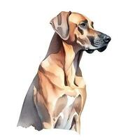 Minimalist Rhodesian Ridgeback Watercolor Painting in Soft Pastel Colors photo