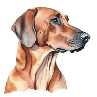 Minimalist Rhodesian Ridgeback Watercolor Painting in Soft Pastel Colors photo