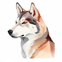 Minimalist Siberian Husky Watercolor Painting on White Background photo