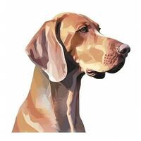 Minimalist Watercolor Painting of a Vizsla Dog in Soft Pastel Colors on White Background photo