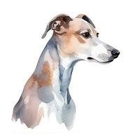 Minimalist Whippet Watercolor Painting on Soft Pastel Background photo