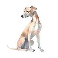 Minimalist Whippet Watercolor Painting on Soft Pastel Background photo