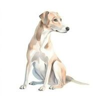 Minimalist Whippet Watercolor Painting on Soft Pastel Background photo