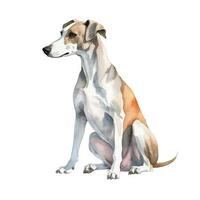 Minimalist Whippet Watercolor Painting on Soft Pastel Background photo