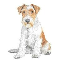 Minimalist Watercolor Painting of a Single Wire Fox Terrier in Soft Pastel Colors photo