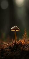 de otro mundo macro fotografía de hermosa minimalista funghi con asombroso detalle y Encendiendo foto