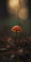 Mushroom Macro Photography with Minimalistic Depth of Field photo