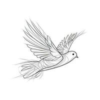 Simple Linear Style Dove Bird Symbol of Peace and Freedom photo