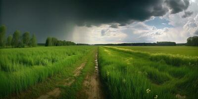 vibrante paisaje de un verde campo y nublado cielo foto