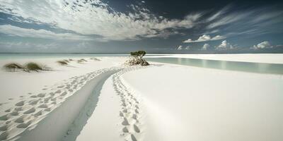 Serenity at the Worlds Most Beautiful White Sand Beach photo