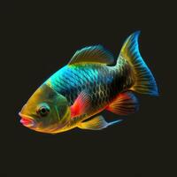 Vibrant Photorealistic Fish Isolated on Black and White Backgrounds photo