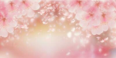 Soft Pink Cherry Blossom Petals Background with Free Space photo