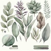 Soothing Sage Watercolor Clipart for Invitations and Stationery photo