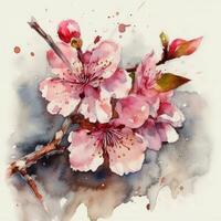 Watercolor Sakura Blossoms in Full Bloom photo