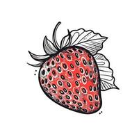 Continuous Line Drawing of Strawberry for Label Design on Colorful Background photo