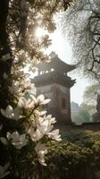 Blooming Magnolia Tree on Fuzzy Background with Ancient Chinese Architecture in Summer Morning Sunlight photo
