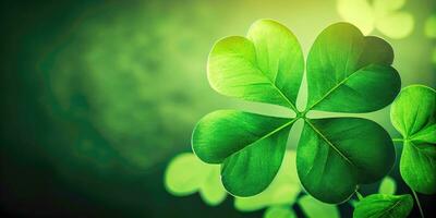 Lucky Clover Leaves on Green Background with Space for Text photo