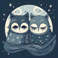 Cozy Night with Two Hugging Owls under a Starry Blanket photo