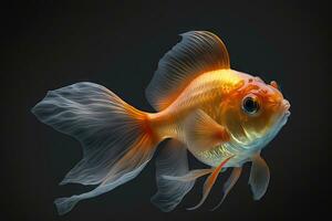 Vibrant Orange Goldfish with Veil Tail Swimming in Dark Waters photo