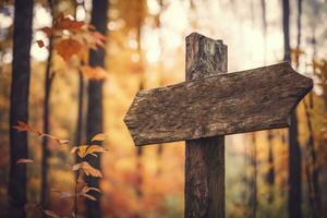 Worship God Outdoors Vintage Wooden Signpost in Nature photo