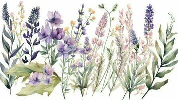 Botanical Watercolor Arrangements with Lavender Bouquets and Wildflowers photo