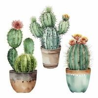 vistoso acuarela cactus ollas para hogar decoración foto