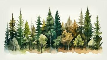 Serene Watercolor Landscape of Pine Trees in a Green Forest photo