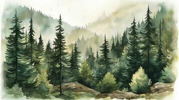 Serene Watercolor Landscape of Pine Trees in a Green Forest photo