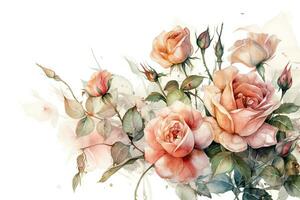 Blush Pink Roses Watercolor Border on White Background photo