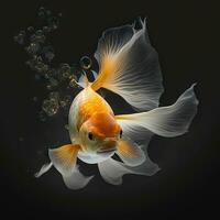Glimmering Goldfish in a Dark Abyss photo