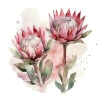 Exotic Watercolor Protea Flowers on Creamy Background photo