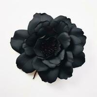 Black Flower Seen from Above on White Background AI Generated photo