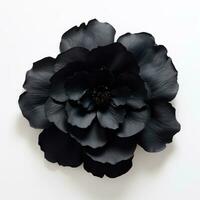 Black Flower Seen from Above on White Background AI Generated photo